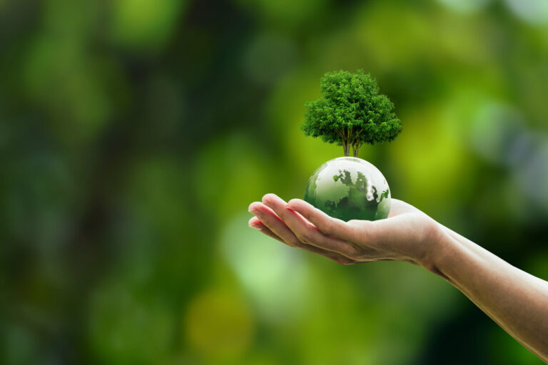 Reduce Emissions - Small tree held in hand